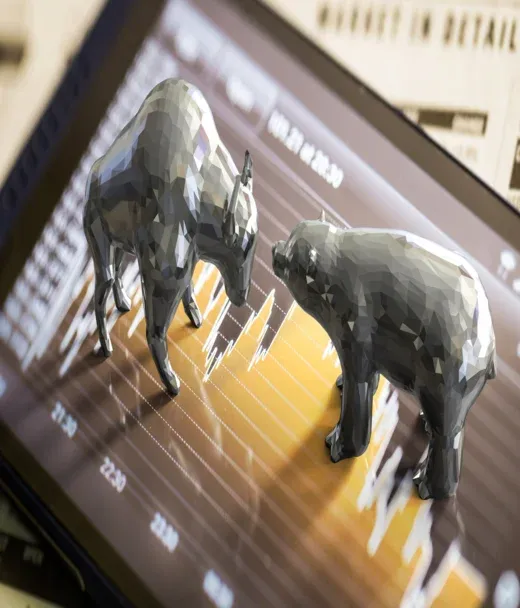 Bull market